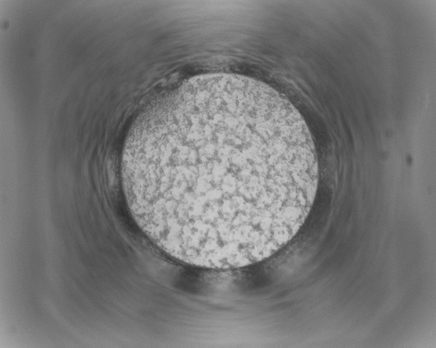 X0000077330131200611171817