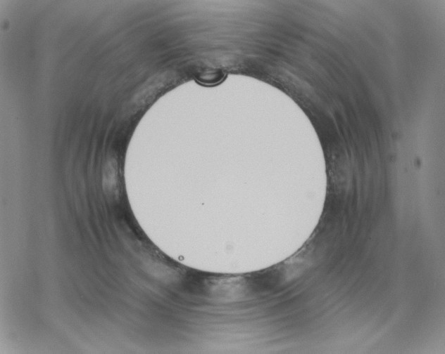 X0000077330132200611171817