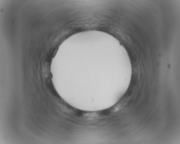 X0000077330133200611171817