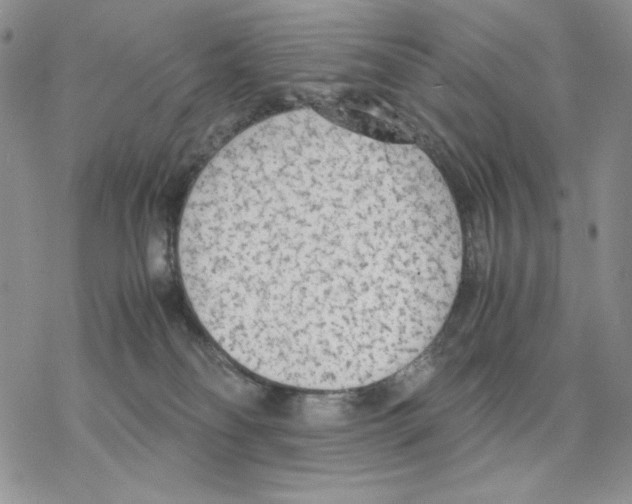 X0000077330134200611171817