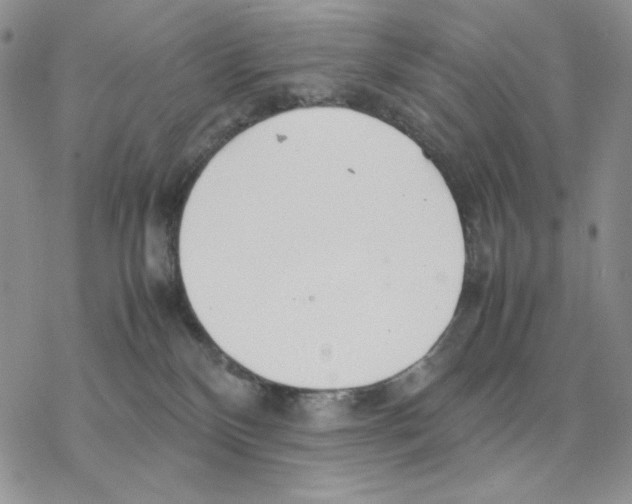 X0000077330136200611171817