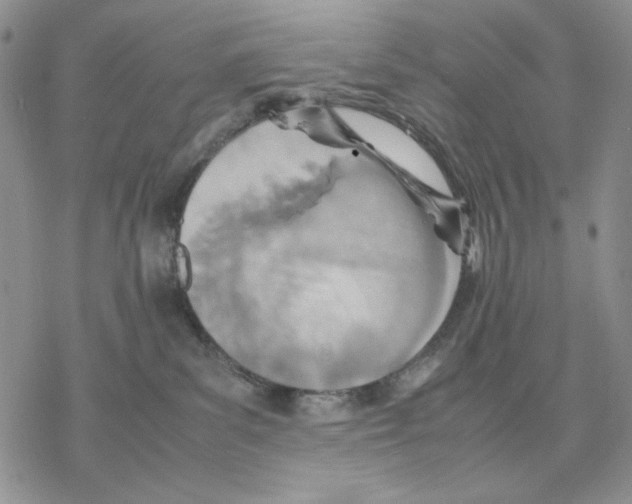 X0000077330139200611171817