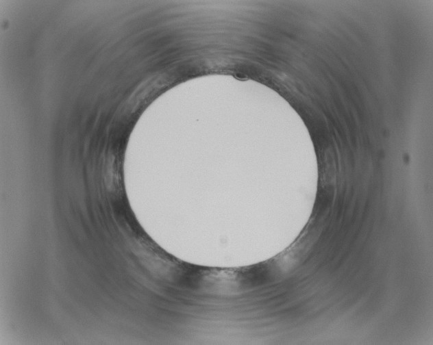 X0000077330140200611171817