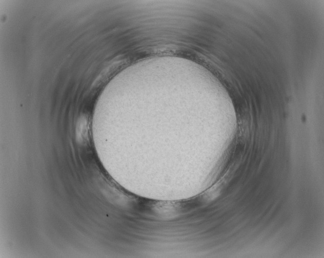 X0000077330142200611171817