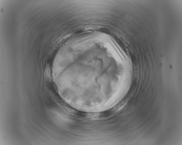 X0000077330143200611171817