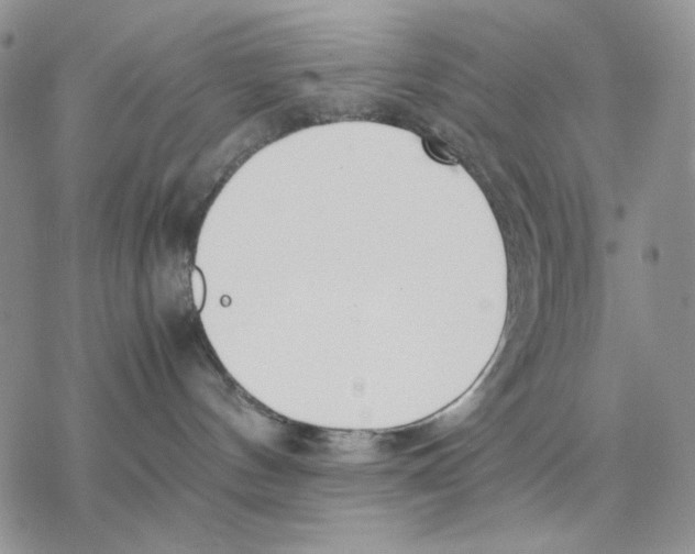 X0000077330144200611171817