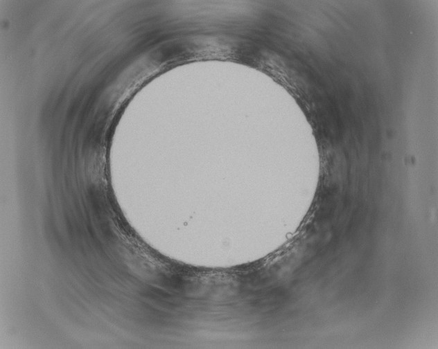 X0000077330146200611171816