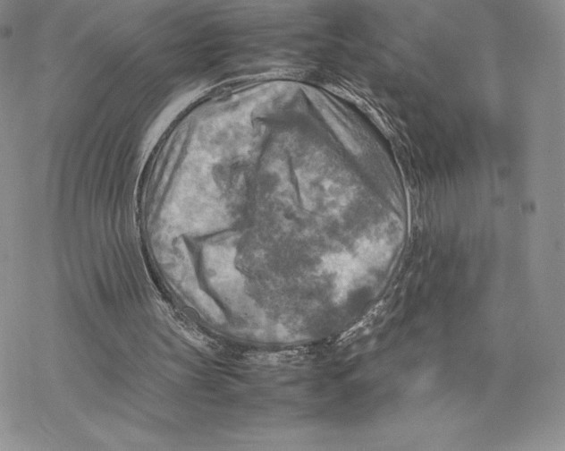 X0000077330147200611171816