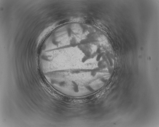 X0000077330149200611171816