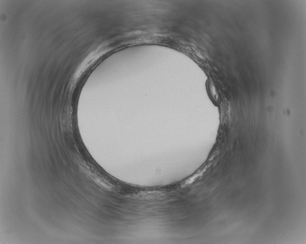 X0000077330150200611171816