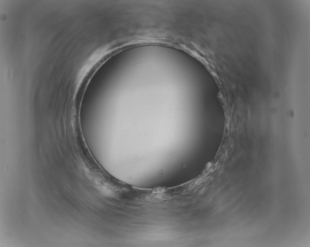 X0000077330152200611171816