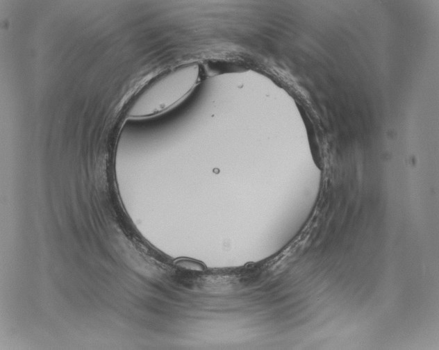 X0000077330154200611171816