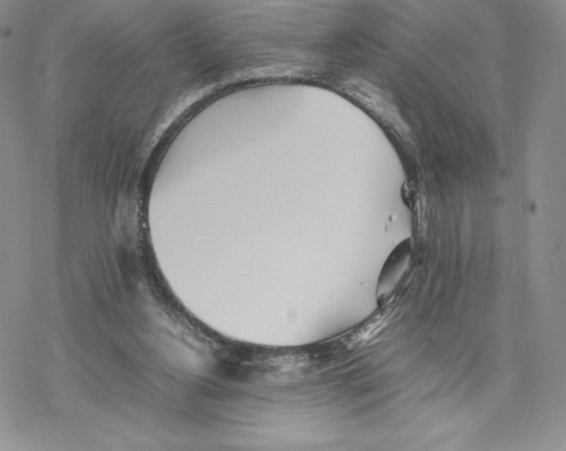 X0000077330156200611171816