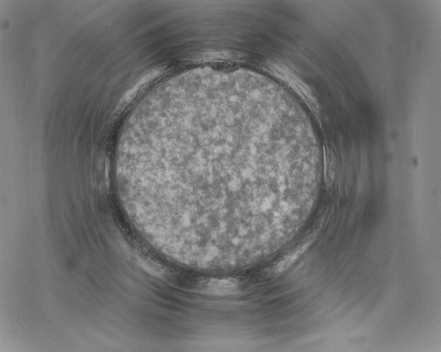 X0000077330157200611171816