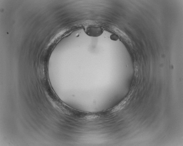 X0000077330158200611171816