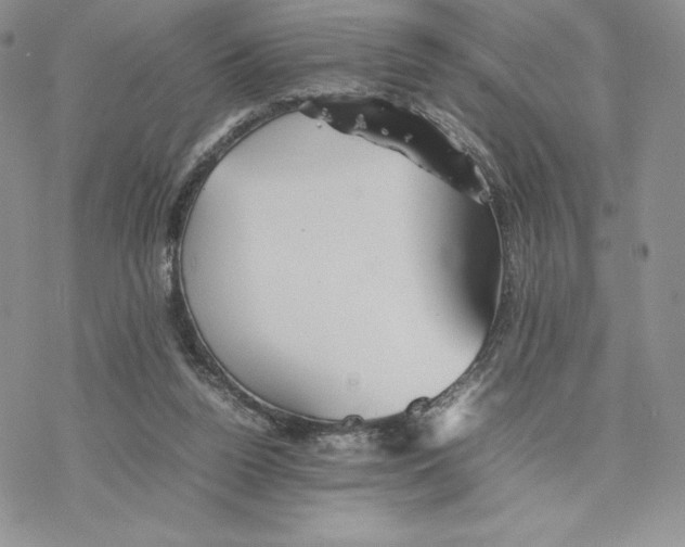 X0000077330160200611171816