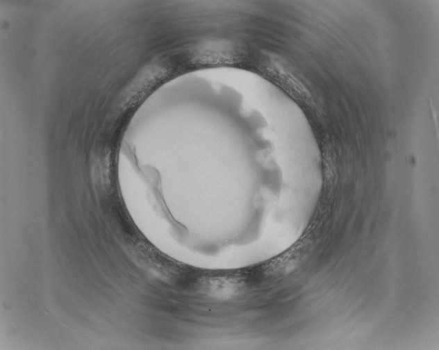 X0000077330163200611171816