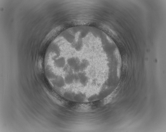 X0000077330166200611171816