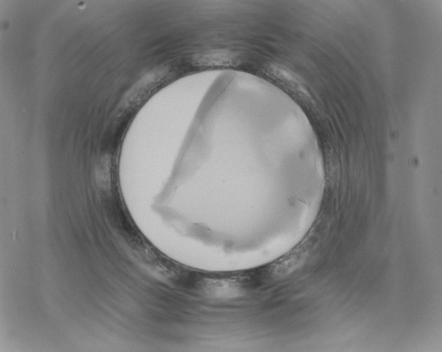 X0000077330167200611171816