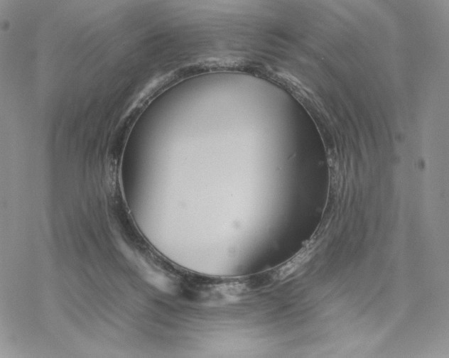 X0000077330168200611171816