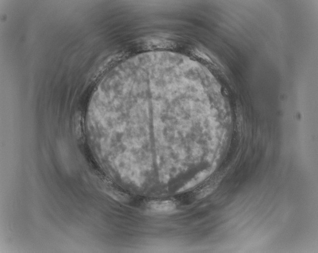 X0000077330169200611171816