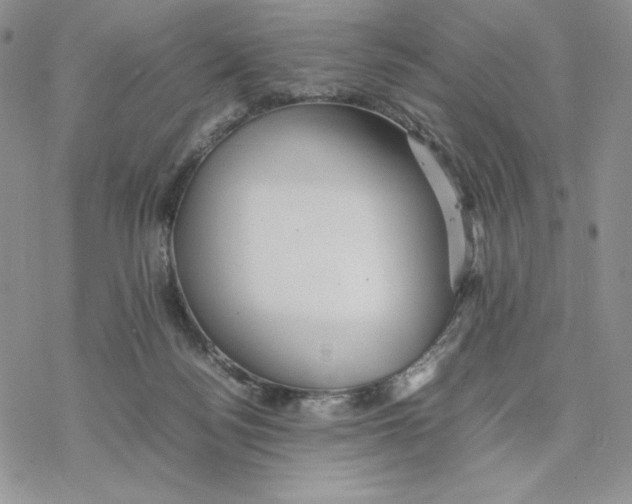 X0000077330172200611171816