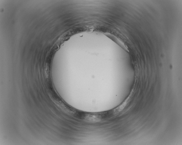 X0000077330174200611171816