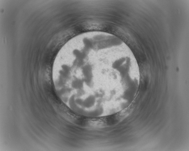 X0000077330175200611171816