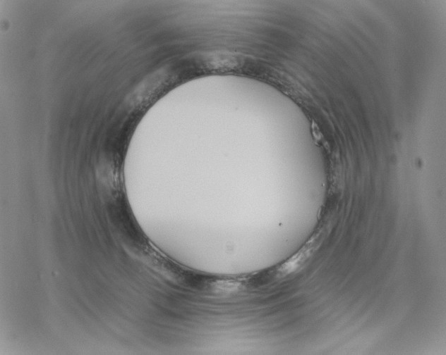 X0000077330176200611171816