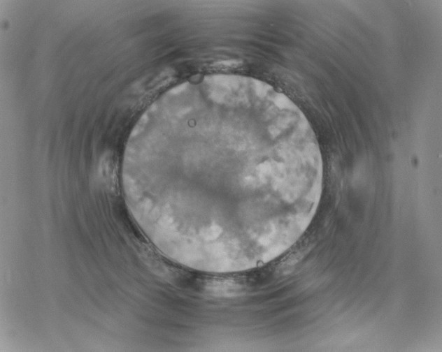 X0000077330177200611171816