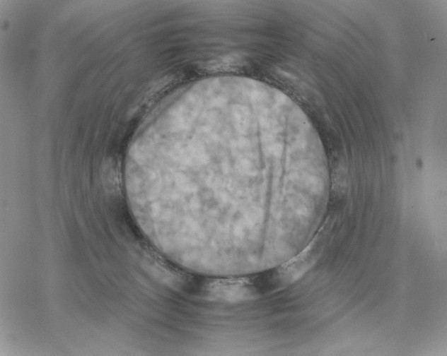 X0000077330179200611171816