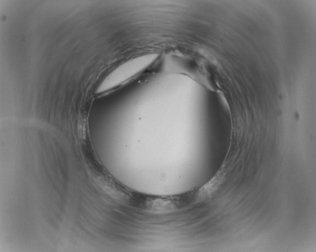 X0000077330180200611171816