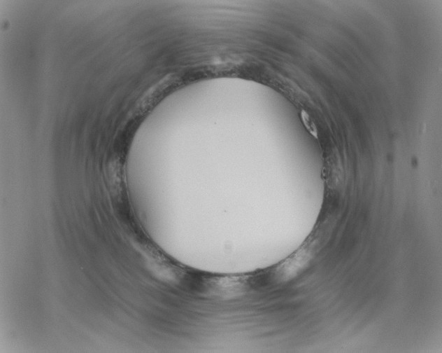 X0000077330184200611171816