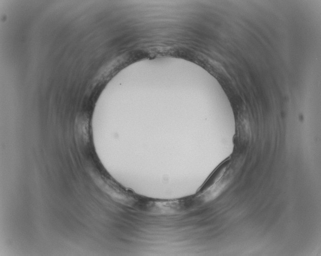 X0000077330188200611171817