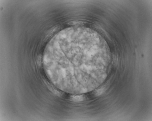 X0000077330189200611171817