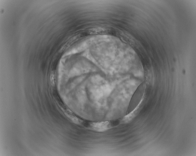 X0000077330191200611171817