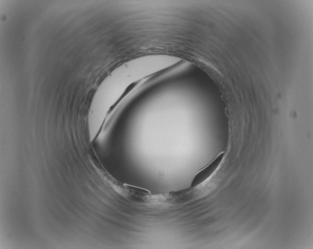 X0000077330192200611171817