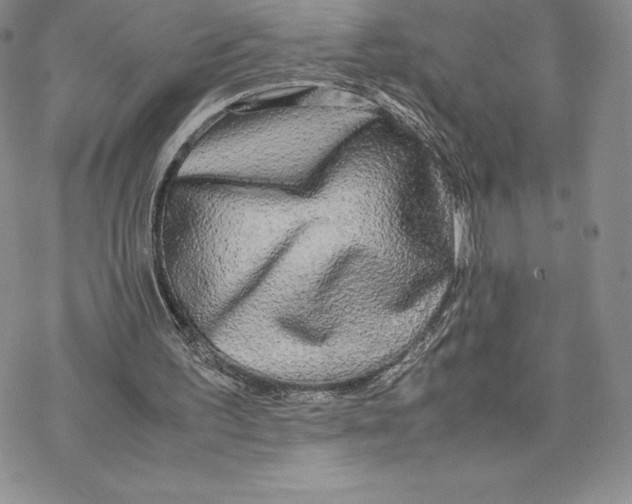 X0000077330195200611171816