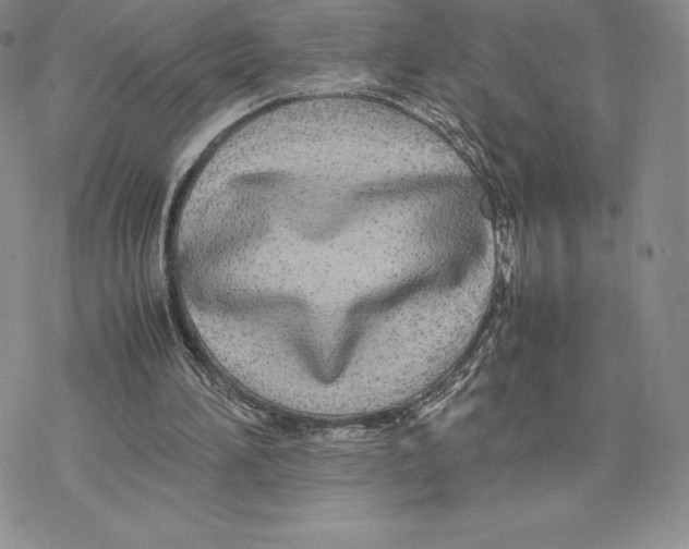 X0000077330196200611171816