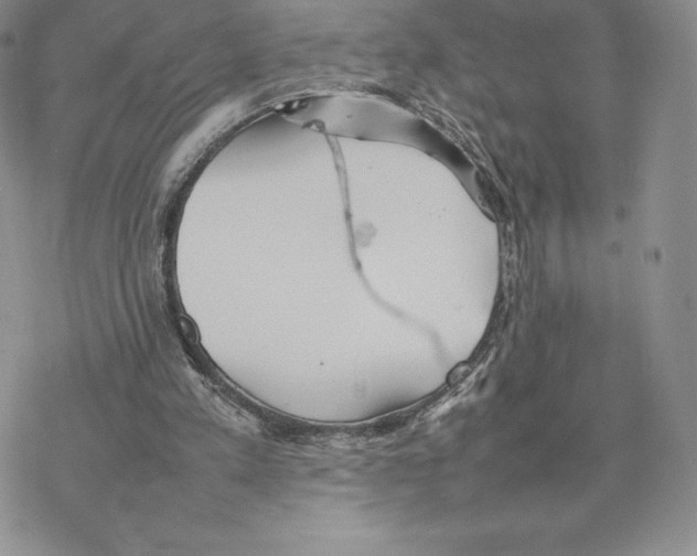 X0000077330197200611171816