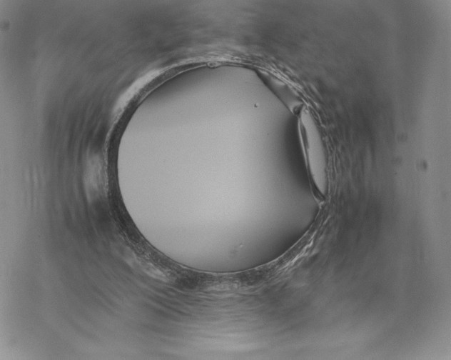 X0000077330200200611171816