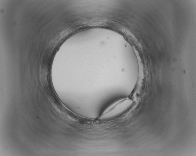 X0000077330201200611171816