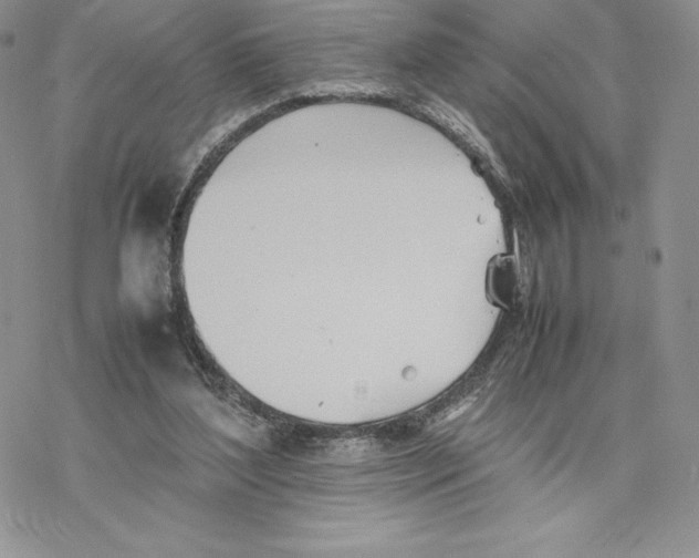 X0000077330204200611171816