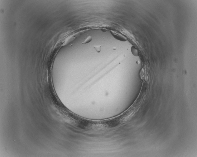 X0000077330205200611171816