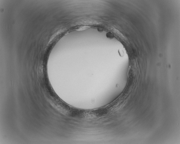 X0000077330207200611171816