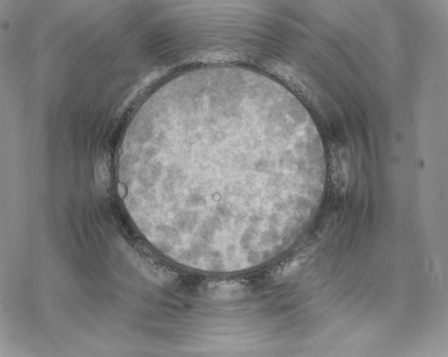 X0000077330208200611171816