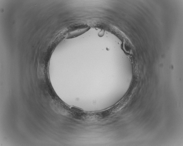 X0000077330209200611171816