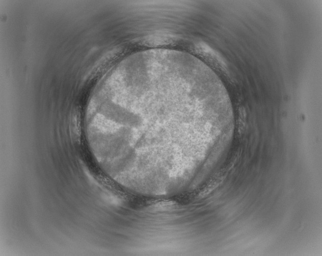 X0000077330210200611171816