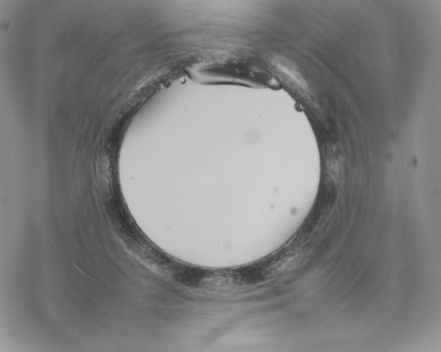 X0000077330211200611171816