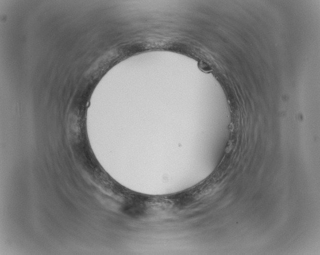 X0000077330215200611171815